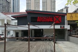 AnimalX ™ LifeStyle | Panamá